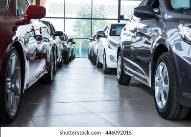 Modern beautiful showroom with cars being sold - Shutterstock ID 446092015