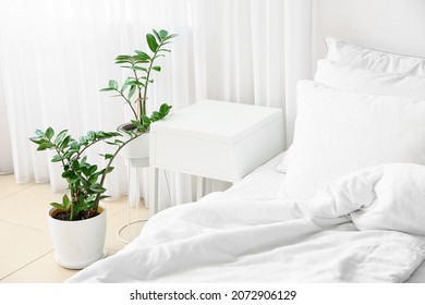 Modern Bedside Table And Houseplant In Interior Of Bedroom