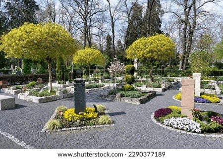modern bestattungsgarten cemetery with flowering trees and colorful flowers at melaten cologne
