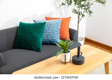 Modern Blue, Green, And Orange Pillow On Sofa In Living Room With Olive Tree In Plant Pot. Modern Vase On Wood Table.
