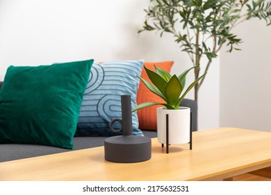 Modern Blue, Green, And Orange Pillow On Sofa In Living Room With Olive Tree In Plant Pot. Modern Vase On Wood Table.