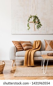 Modern Boho Interior Of Living Room At Cozy Apartment With Gray Sofa, Honey Yellow Pillows And Plaid, Plants, Paintings, Rattan Basket And Design Personal Accessories. Stylish Home Decor. Template.