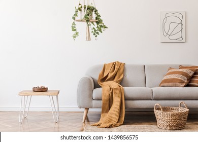 Modern boho interior of living room at cozy apartment with gray sofa, honey yellow pillows and plaid, plants, paintings, rattan basket and design personal accessories. Stylish home decor. Template.