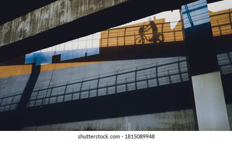 modern building city bike sunset