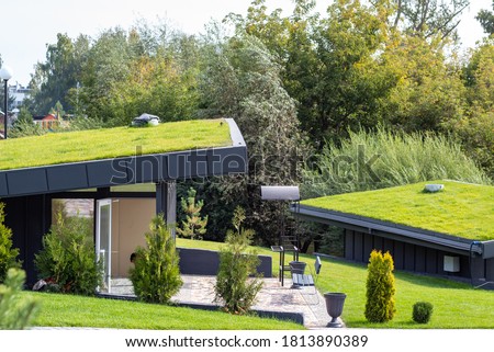 Modern buildings with lawns on the roof in the city eco park, roofs are covered with green grass.