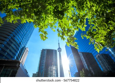 Modern Buildings In Toronto City Skyline