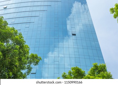 Modern Business Office Building With Blue Glass Wall Reflection Detail Of Blue Sky And Green Tree Branches.