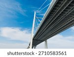 Modern cable stayed bridge spanning across water, showcasing intricate engineering and strong architectural lines against a wide blue sky with minimal clouds. Western High-Speed Diameter (ZSD) bridge, Saint Petersburg