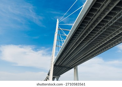 Modern cable stayed bridge spanning across water, showcasing intricate engineering and strong architectural lines against a wide blue sky with minimal clouds. Western High-Speed Diameter (ZSD) bridge, Saint Petersburg