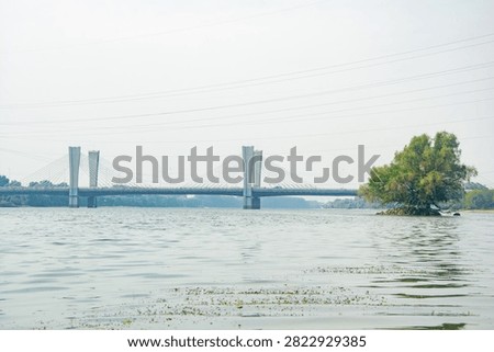 Modern cable-stayed bridge spanning the Hun River in Shenyang, China, with green vegetation and calm waters in serene landscape view.