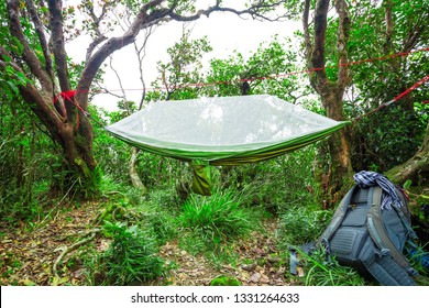 Modern Camping Hammock On Hiking Trail 