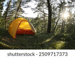 Modern camping tent in forest at summer, space for text. Fisheye lens effect