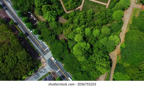 Modern City And Park Aerial View.