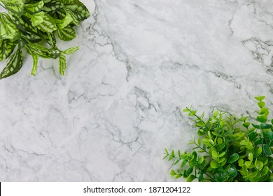 Modern Clean Flat Lay Or Top View Office Desk Or Office Table And Office Plants Or Tree At Top Left And Bottom Right Corner On Marble Minimalist Background