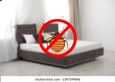 Modern clean mattress without bed bugs in room - Shutterstock ID 1347599846