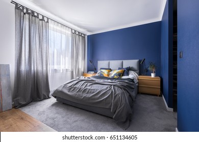 Modern, Cobalt Blue Bedroom With Double Bed, Gray Bedding, Carpet And Window