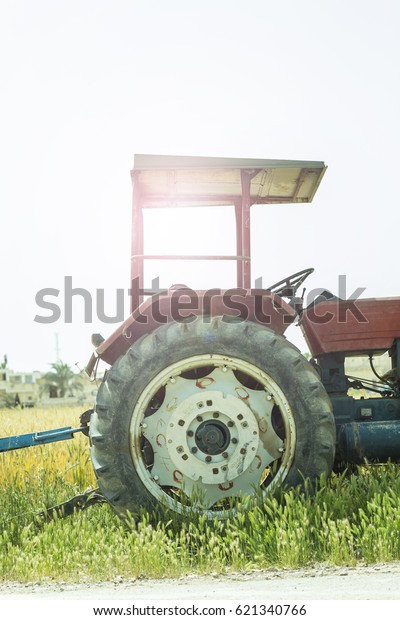 Modern combine harvester harvesting wheat in\
Egyptian farm, middle east,\
africa