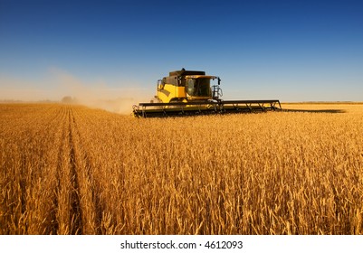 A modern combine harvester working a wheat field - Shutterstock ID 4612093