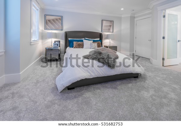 Modern Comfortable Elegant Luxury Master Bedroom Royalty