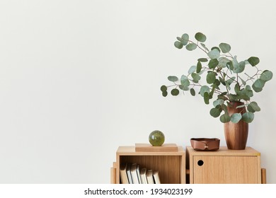 Modern composition of living room interior with design wooden bookcase, eucalyptus leaf in vase, book, decoration, glassy ball and copy space on the white wall. Template.