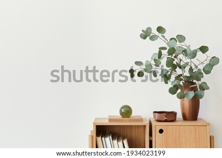 Modern composition of living room interior with design wooden bookcase, eucalyptus leaf in vase, book, decoration, glassy ball and copy space on the white wall. Template.