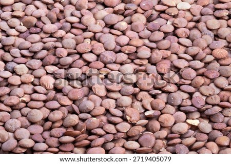 Modern composition showcasing scattered pink lentil seeds in pastels, Highdetail image highlighting pink lentil pattern with pastel hues and mosaic seed arrangement