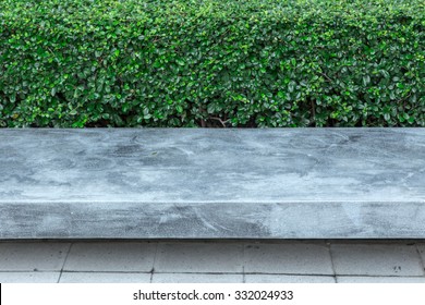 modern concrete bench and path in front of the green background