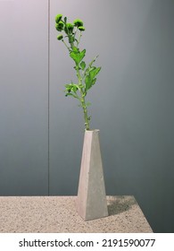 Modern Concrete Vase On Table With Plant