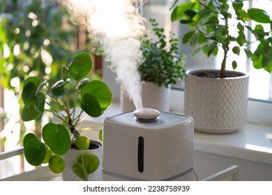 Modern cool-mist humidifier for indoor plants. Steam vaporizer working inside house, moisturizing dry air at home, standing near green houseplants. Humidity in apartment and plantcare concept