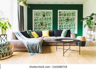 Modern And Cozy Living Room With Corduroy Sofa, Coffee Table, Plants And Big Window To The Garden. Bright And Sunny Family Space. 