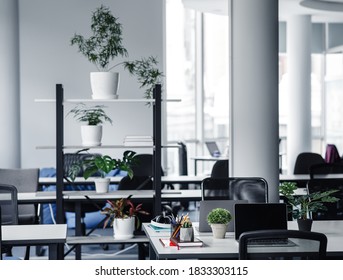 Modern Cozy Loft Office Interior And New Normal. A Lot Of Plants In The Workers Room With Tables, Laptops, Armchair , Columns And Panoramic Windows Without Of People At Daylight, Flat Lay, Free Space