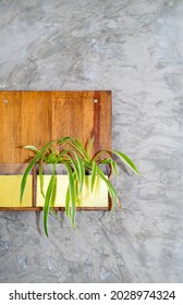 Modern Design Wooden Wall Hanging Mini Planter On The Wall. Indoor Spider Plants.