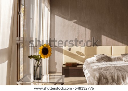 Similar – Foto Bild Sonnenblume am Fenster