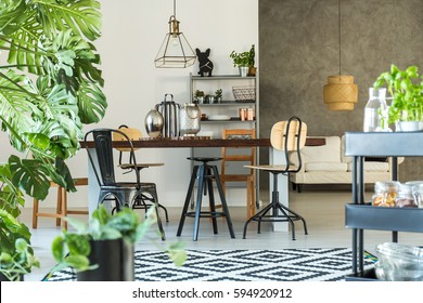 Modern Dining Room With Monstera Plant, Carpet And Kitchen Cart