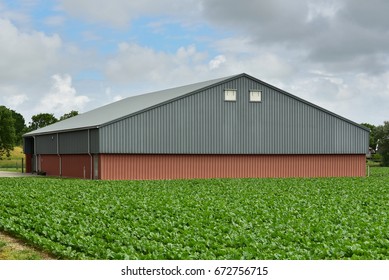 Moderne Scheune zur Lagerung der Ernte oder der Landmaschinen in Friesland
