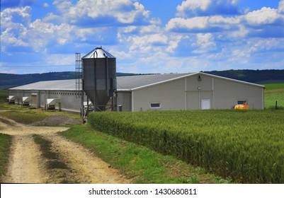 Modern Farm Buildings With Silo And Cereal