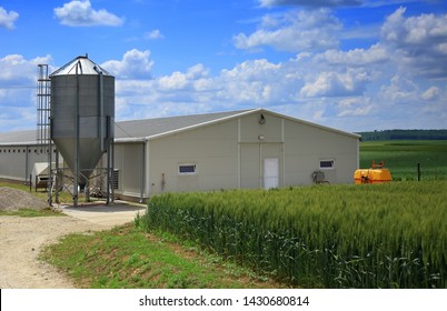 Modern Farm Buildings With Silo And Cereal