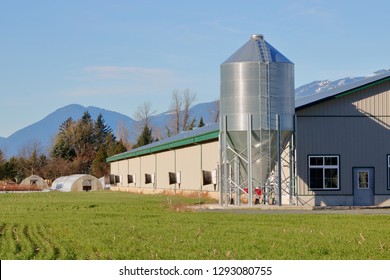 A Modern Farm With A Large Building Used For Raising Chickens Accompanied With A Metal Grain Bin Used For Feeding The Livestock. 