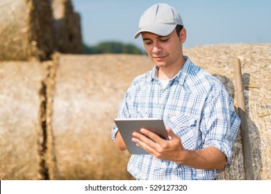 Modern Farmer Using His Tablet