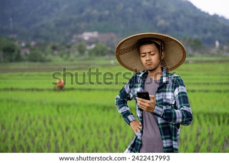modern farmer using smart technology gadget for agriculture in rice field