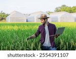 Modern Farmer Utilizing Laptop and Smartphone in Rice Field, Integrating Smart Farming Techniques Near Greenhouses for Precision Agriculture and Sustainable Farming Innovation