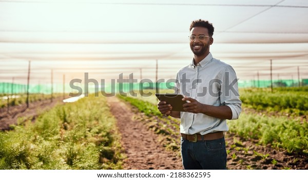 Modern farmer working on a tablet on a farm\
and checking plants growth progress with an online app or\
agriculture management software. Businessman doing inspection of\
carrot harvest or\
plantation