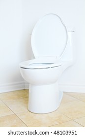 Modern flush toilet. Bathroom