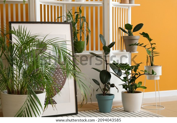 Modern\
folding screen and houseplants near color\
wall