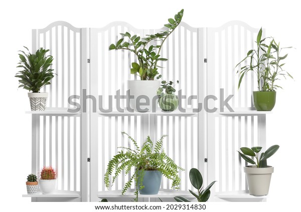 Modern folding screen with houseplants on\
white background