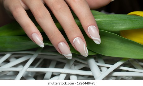 Modern French Manicure. Nail Art Manicure. 