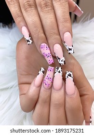 Modern French Tip With Cow Print Nails