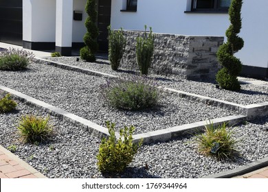 Modern front yard with decorative gravel
