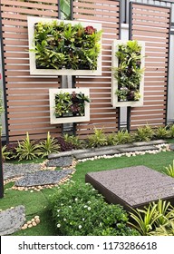 Modern Garden Design