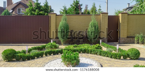 Modern\
garden design Coniferous plants in the\
garden